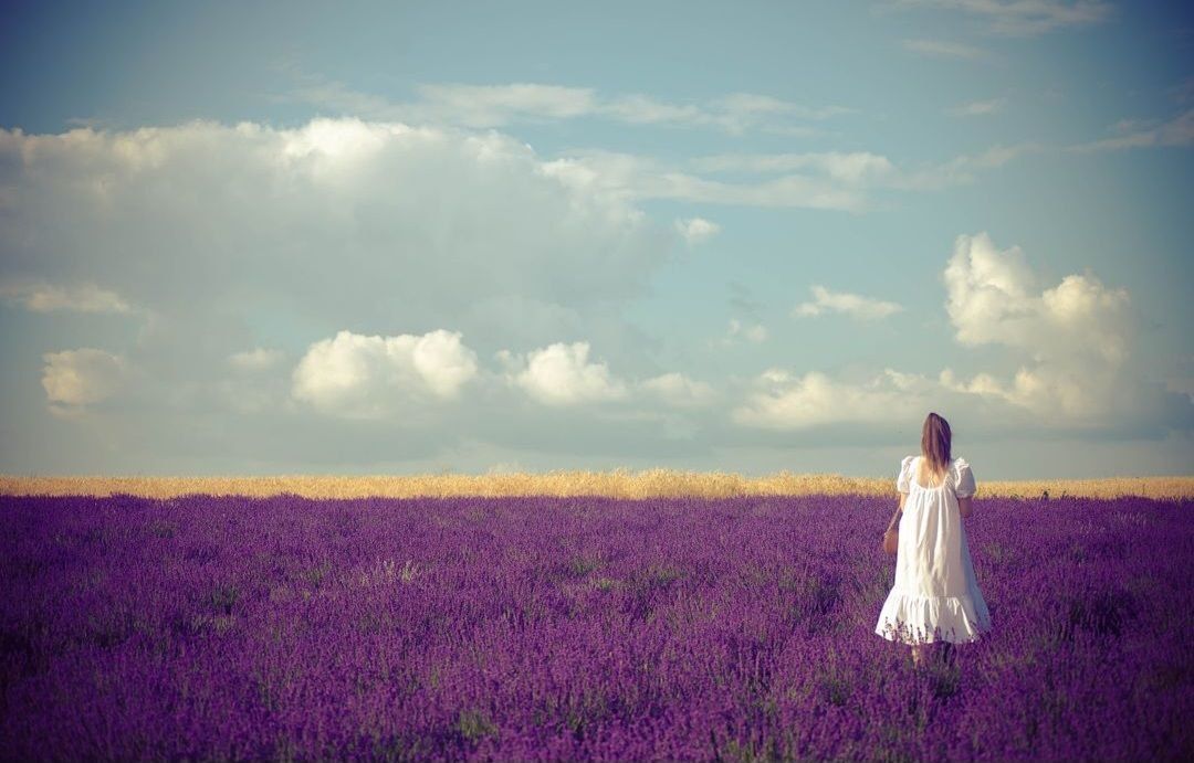 💜 lavanda.md