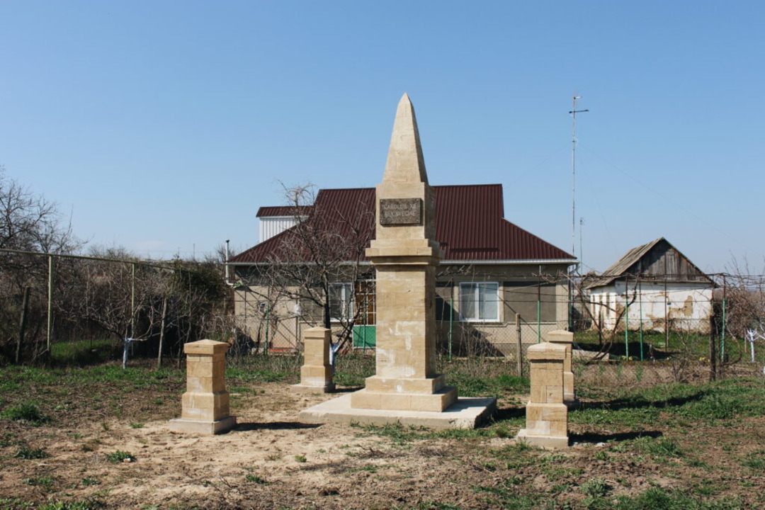 👑🏕️ Tabăra Regelui Suedez Carol XII