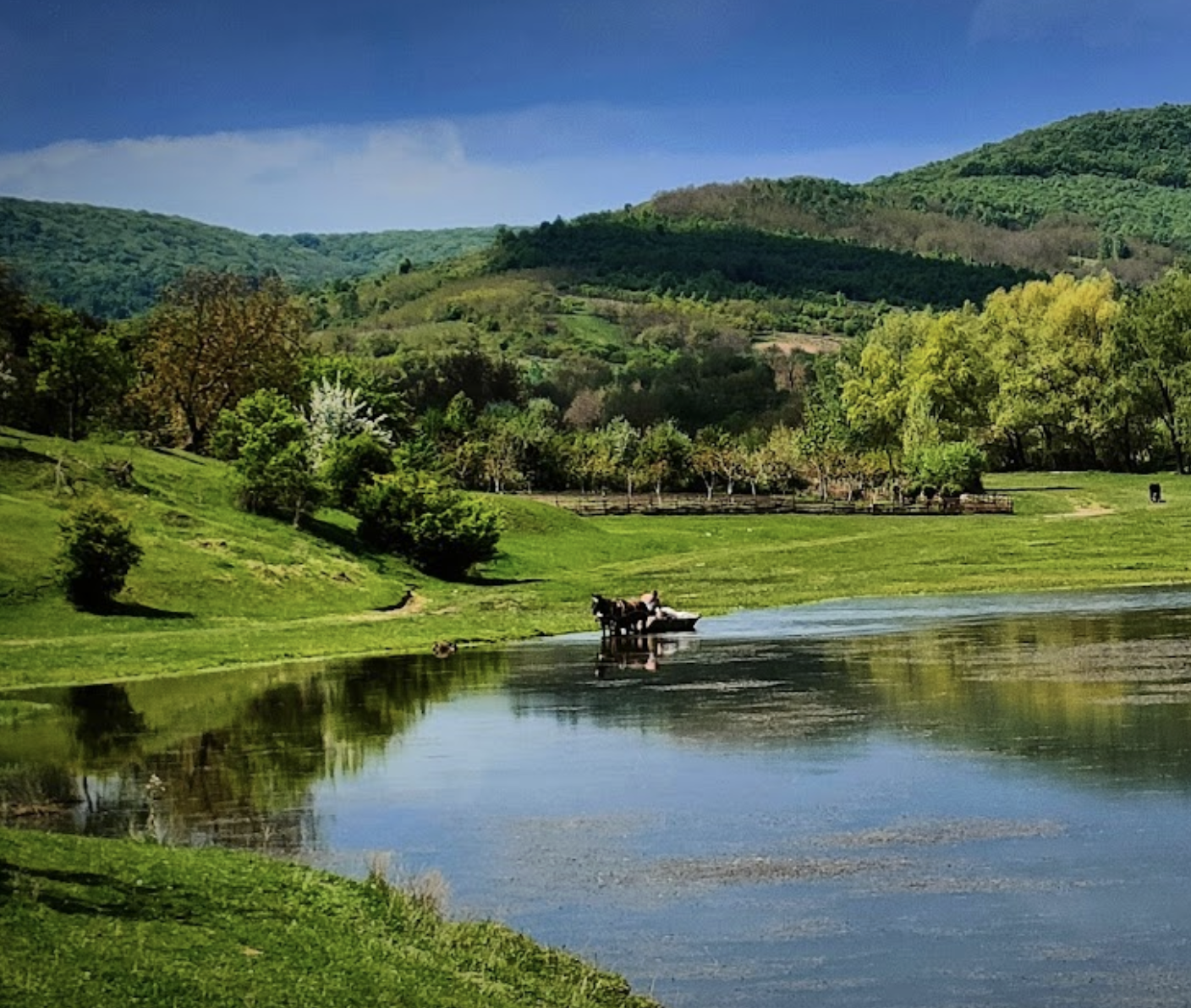 Rezervația peisagistică Temeleuți 🍀