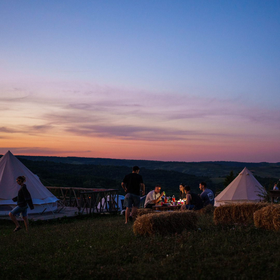 🏕️ Camping <"Pe toloacă"> 🌲