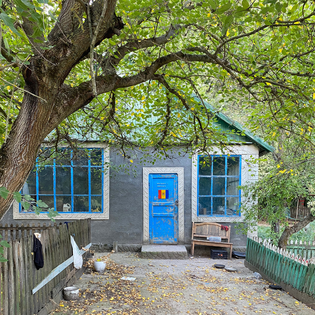 🏡 Casa Pădurarului 🌳