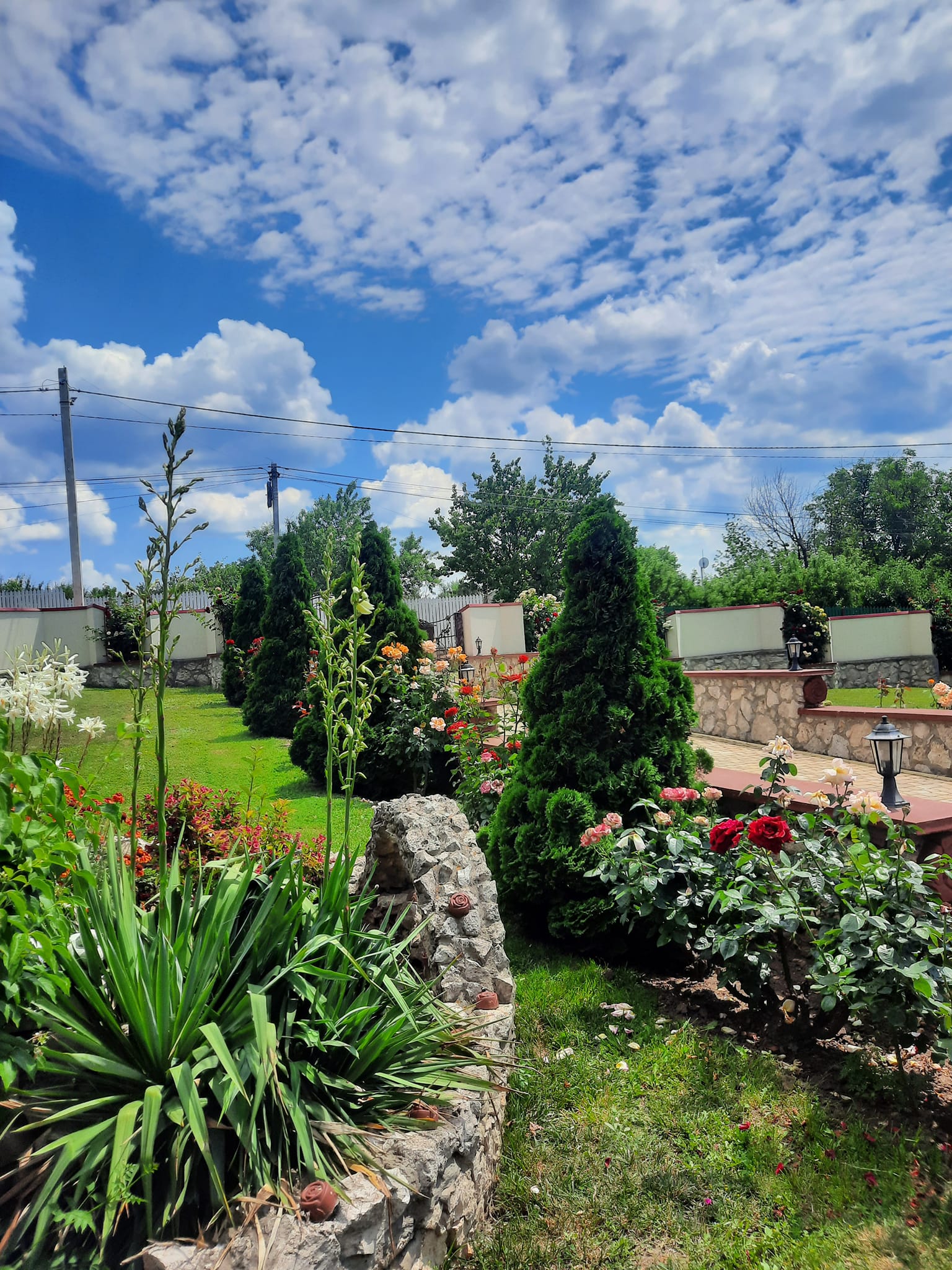 Casa Trandafirului🌹