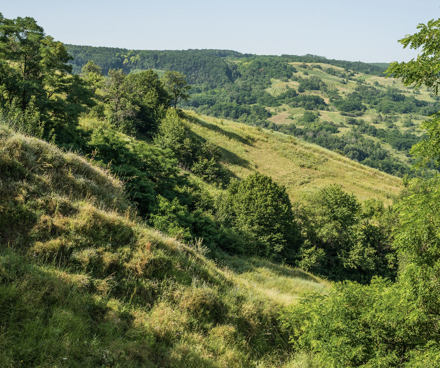 🏞️ Belvedere "La Chetrărie"